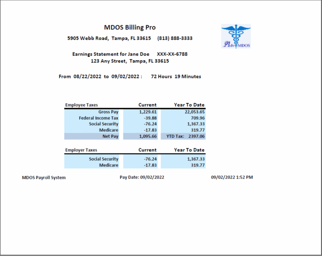 Employee Payroll Statement